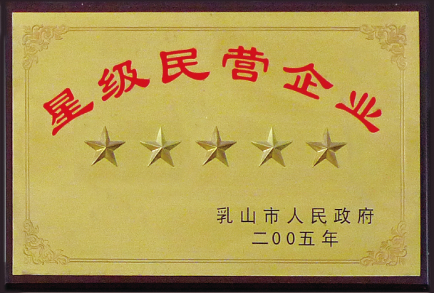 星級民營企業(yè) 